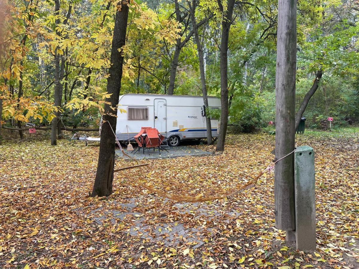 Hotel Tisza-Beach Wild Camping 5 à Szeged Extérieur photo